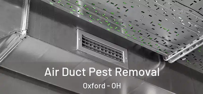 Air Duct Pest Removal Oxford - OH