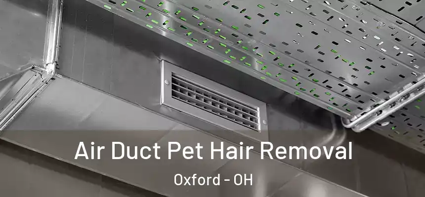 Air Duct Pet Hair Removal Oxford - OH