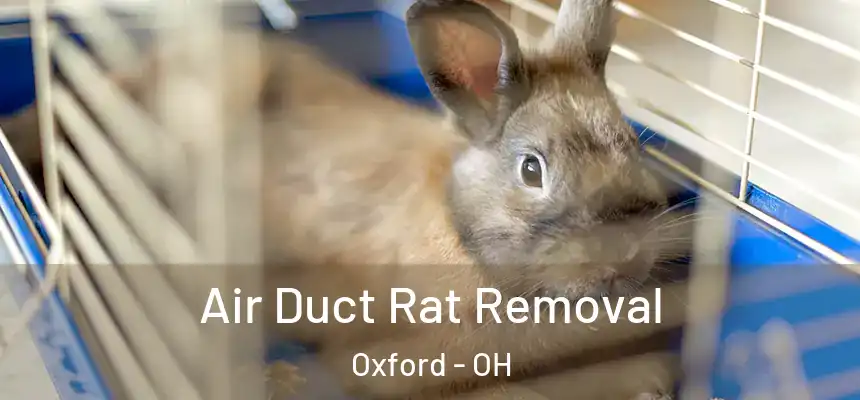 Air Duct Rat Removal Oxford - OH