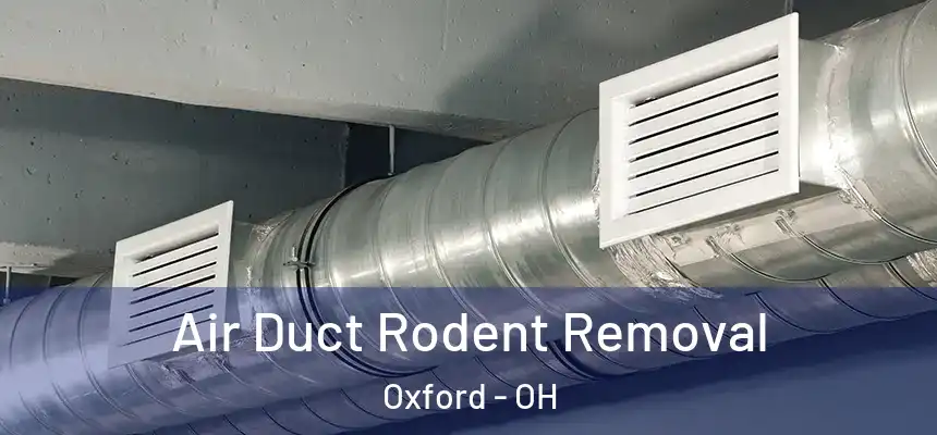 Air Duct Rodent Removal Oxford - OH