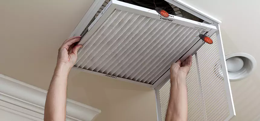 Our Insect Removal from Air Ducts Services in Oxford, OH