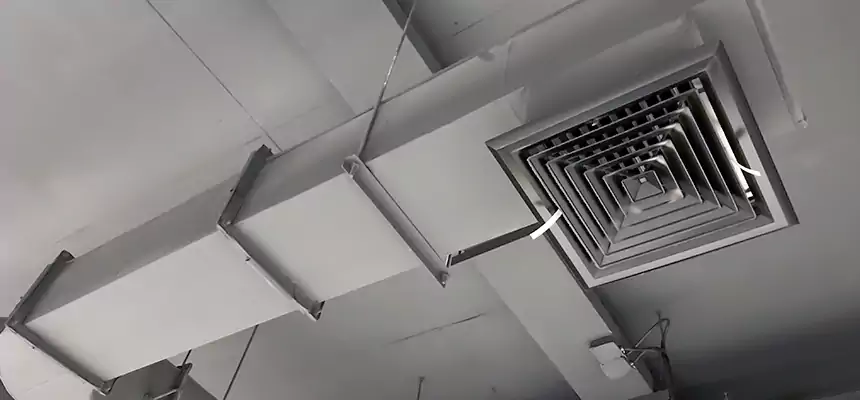 Our Pest Removal From Ducts Services in Oxford, OH