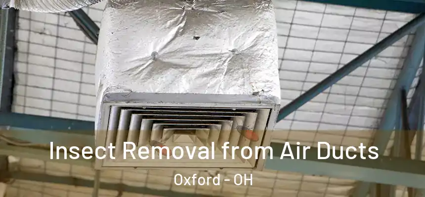Insect Removal from Air Ducts Oxford - OH