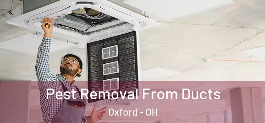  Pest Removal From Ducts Oxford - OH