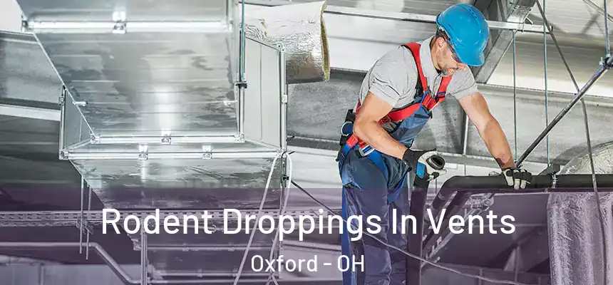 Rodent Droppings In Vents Oxford - OH