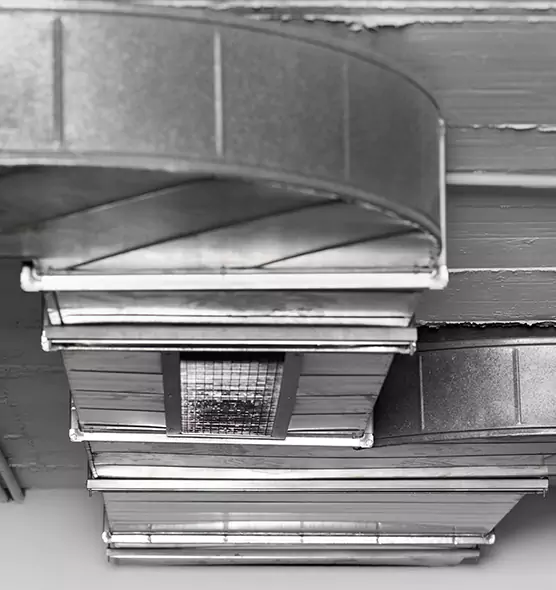 Professional Air Duct Pest Removal in Oxford, OH