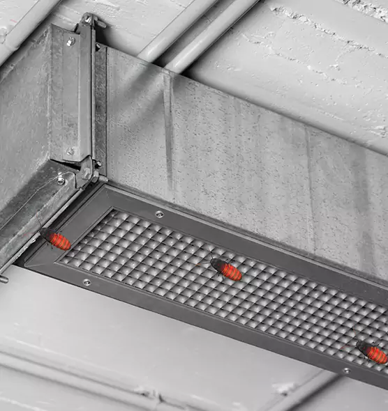 Affordable Insect Removal from Air Ducts in Oxford, OH